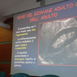 Anatomia Ecografica 13_12_25