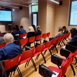 GUIDELINES IN REAL LIFE:  GESTIONE MULTIDISCIPLINARE  DEL TUMORE PROSTATICO 10_10_2026